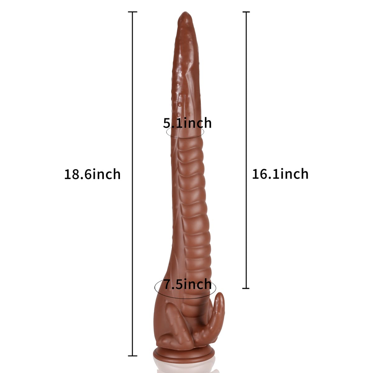 라이딩스 제임스