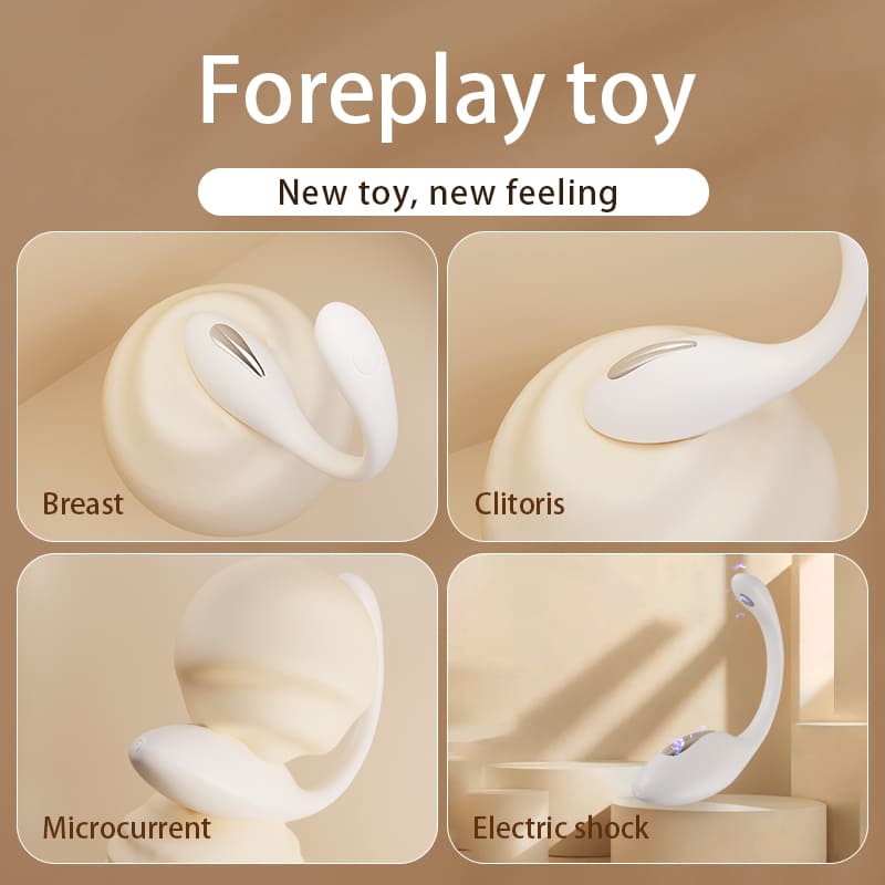 OYE-035 10 Modes Long Distance Vibrator & 3 Mode Selectric Shock Vibrator