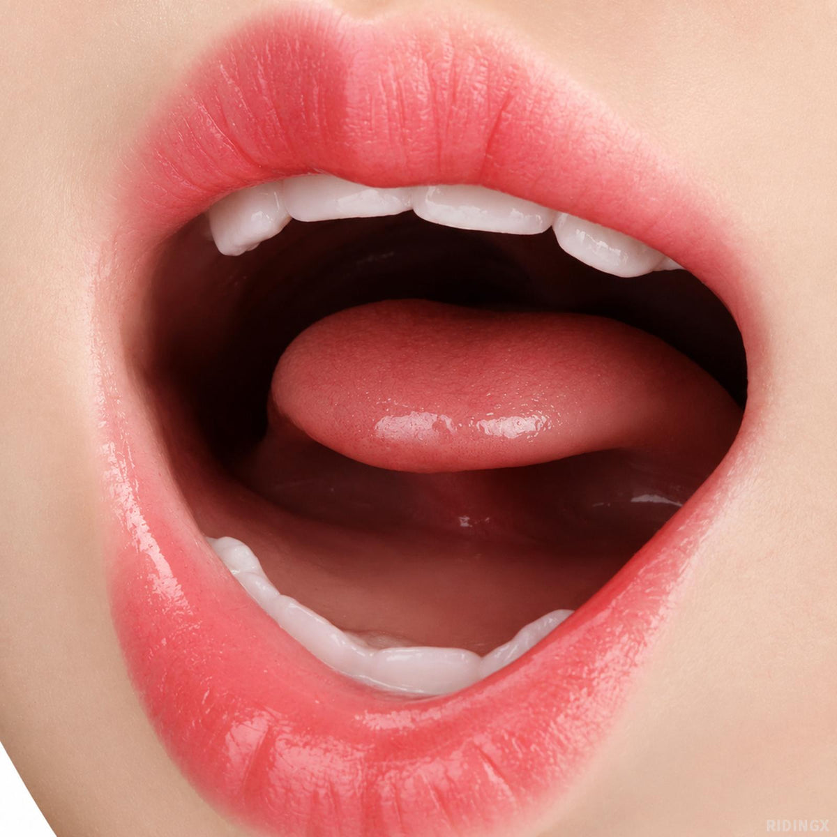 Stella Realistic Pocket Pussy Ultra-Realistic Mouth Vagina & Anus Stroker