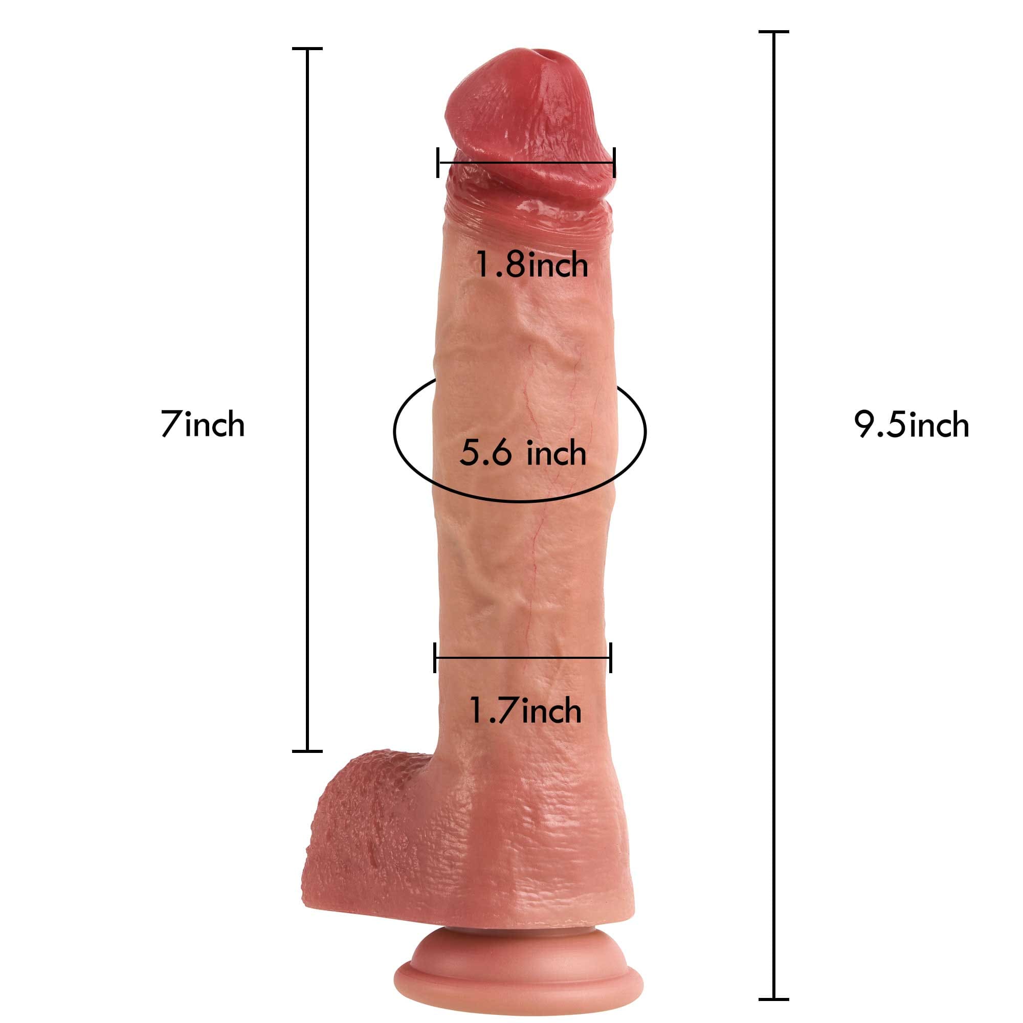 Rex 9 inch Real Feel Realistic Dildo & Soft Glan Realism Penetration