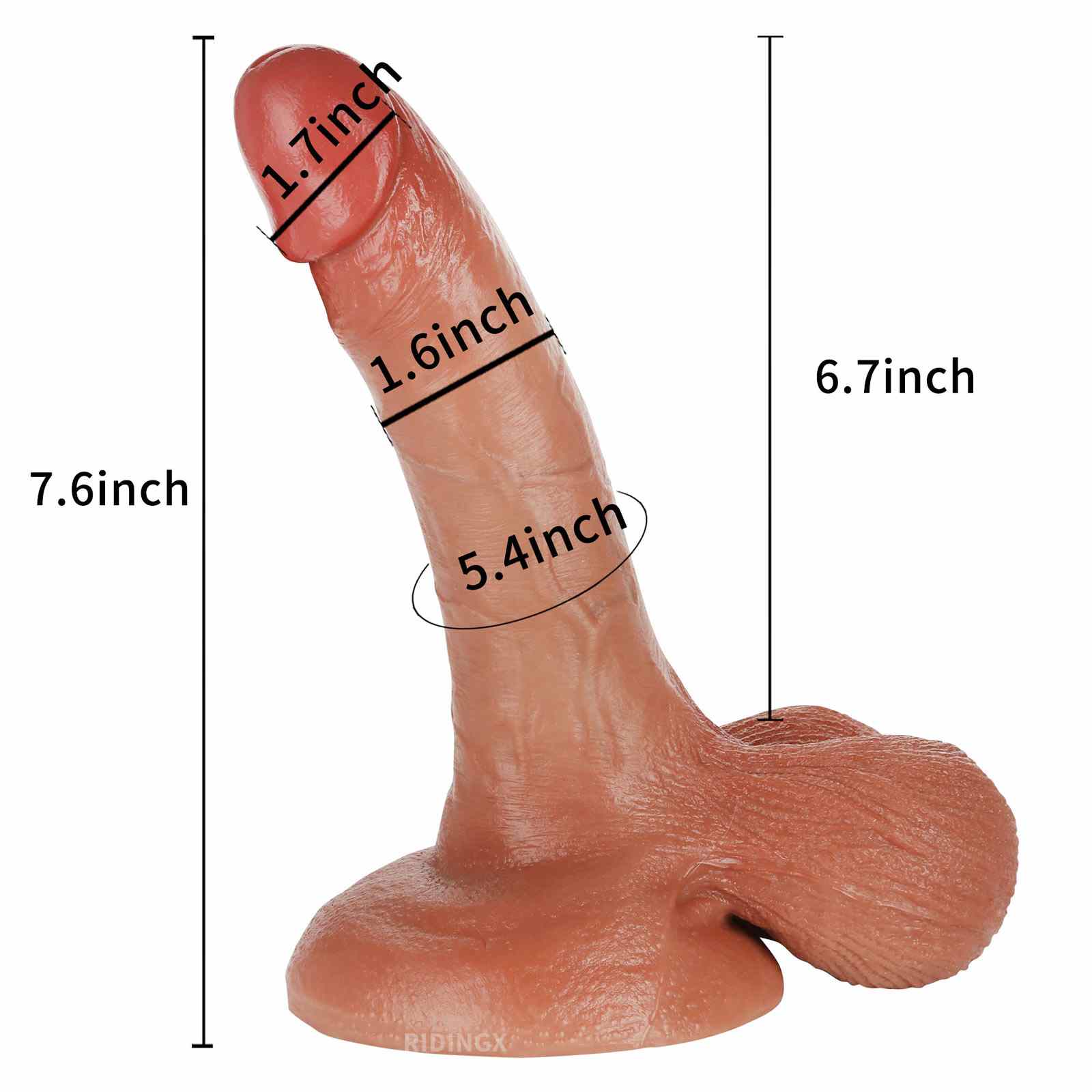 RIDINGX 7 inch most realistic dildo with moving balls and suction cup size chart